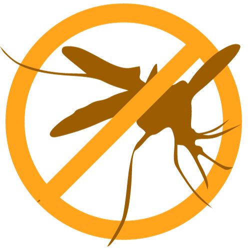 Serviços de qualidade para o segurado